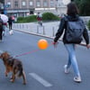 Img_9332