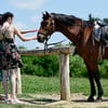 _nnf9810_copy