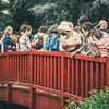 Piknik_8