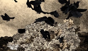 Oiseau_buisson