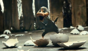 Ugly_duckling_2