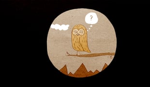 Linnuvaatlemine-01
