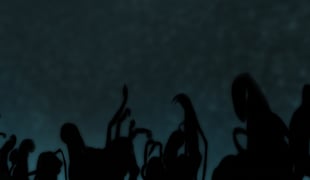 Transecho_refpic_1