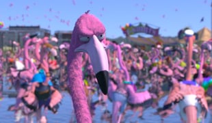 Flamingo1