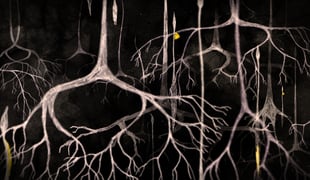Hunger_2_300dp