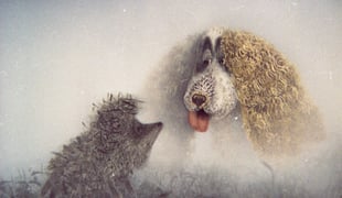 The_hedgehog_and_the_fog