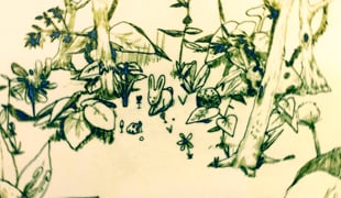 Rabbit_hop_hop_3