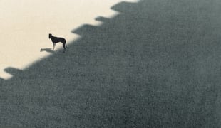 Peripheria_1_light