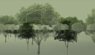 Kraj_still_4