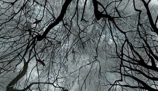 Febr_detail_01
