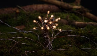Utopianow_02