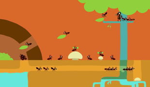 Ant_still_04