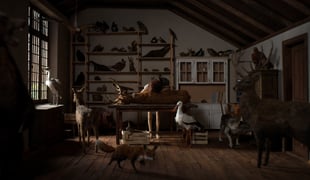 Imbuedlife_01