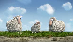 09_lambs