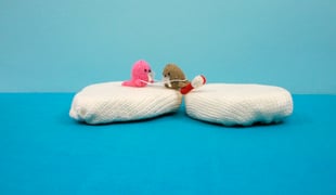 Sweettusk1