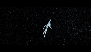 Screen_shot_2020_05_22_at_9_05_50_pm