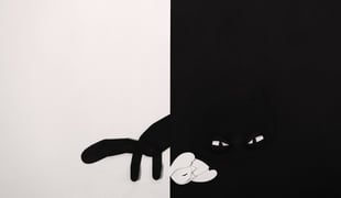 Ssv_still_01