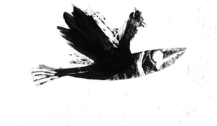 09_oceania_stefan_voyvodov