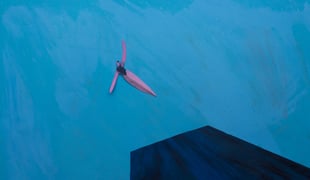 9_thediver_iuliavoitova