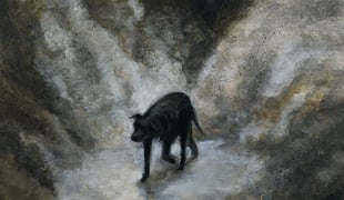 16_fires_mohammadbabakoohi_lapoudri%c3%a8re