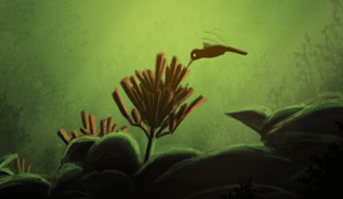 The_legend_of_the_hummingbird_1