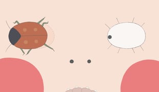 05