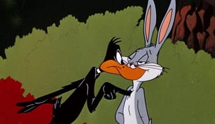 Rabbit_seasoning