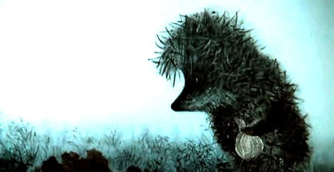 Hedgehog_2