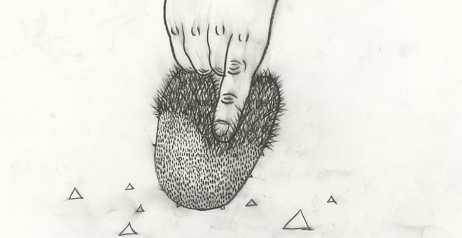Triangle_1