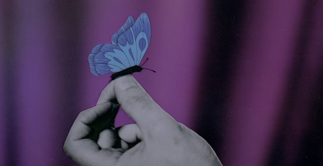 Nocturnal_butterflies_5