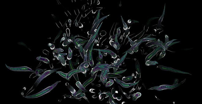 Change_still_03