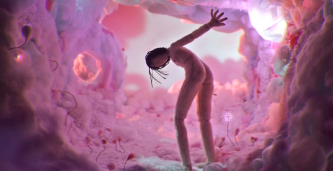 Comfort_weronika_banasinska_3