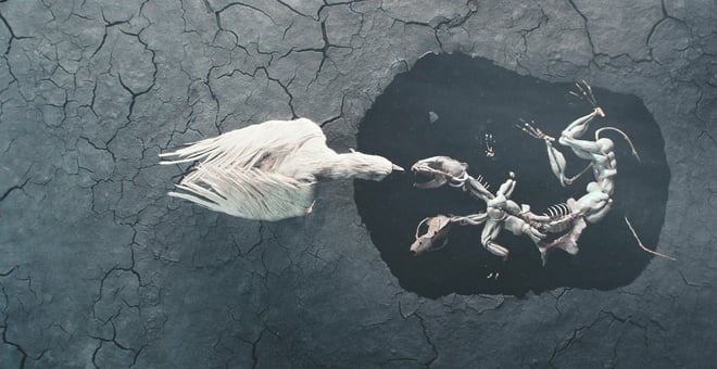 Ragnarok_still_03