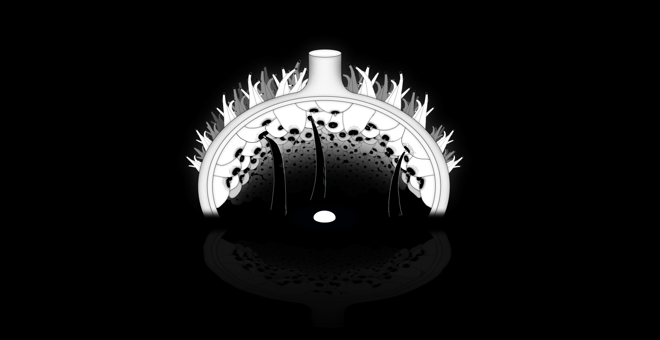 Egg_stills_002