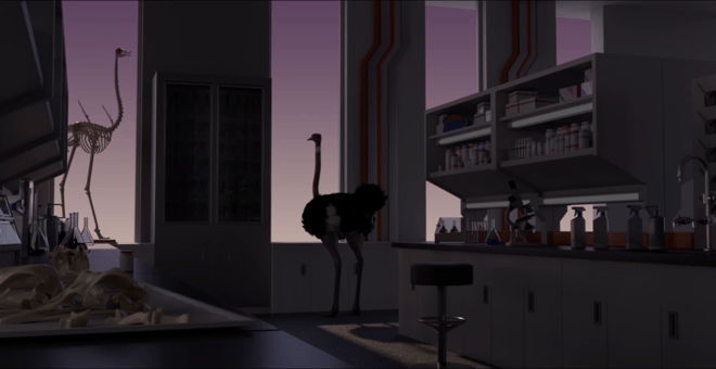 Ostrich_1