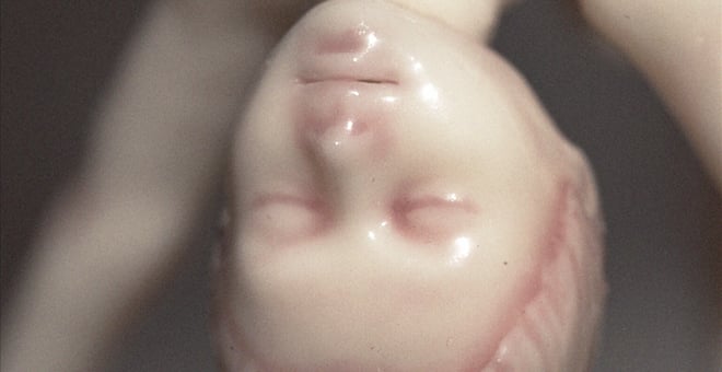 Still_wir_02