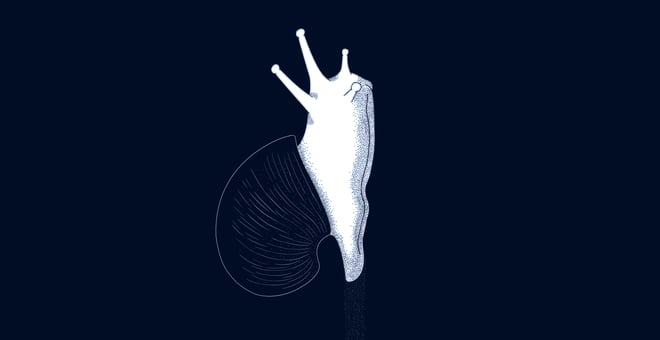 Helfer_still02