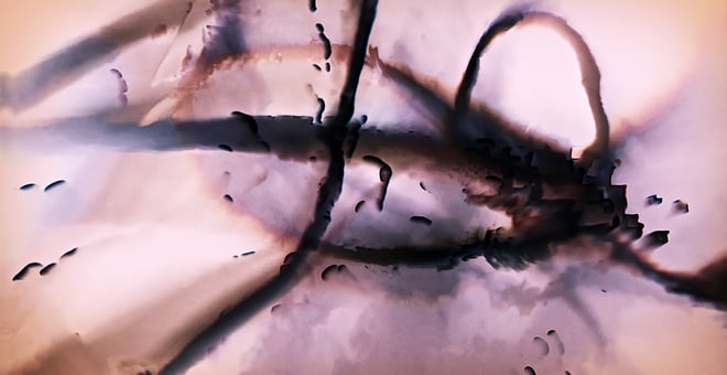 Sfumato_robert_seidel_1xl