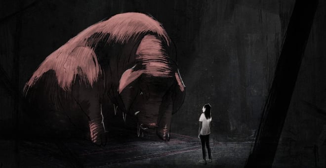 Letter_to_a_pig_2
