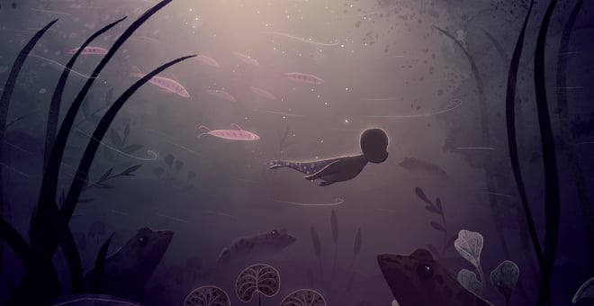 Mermaid