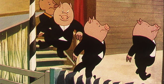 Af_pigs_walk