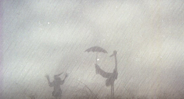 The_heron_and_the_crane