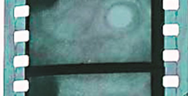 Opus_ii_transition