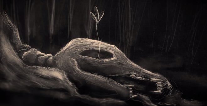 Still_01