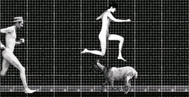 14_zoopraxiscope_