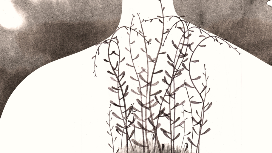 Animafest 2014 will present 40 Croatian films