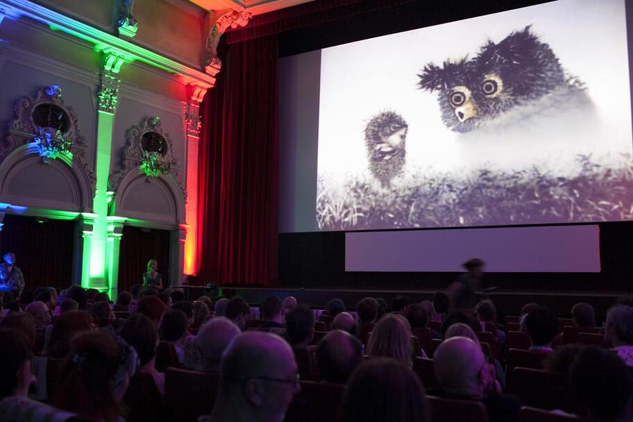 Film submissions for Animafest Zagreb 2015 are closed