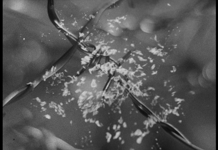 Projekcija filmova Takashija Makina prebačena u Kino Europa