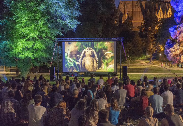 Ježurka, kornjača i 700 noćnih ptica na Ribnjaku najavili Animafest