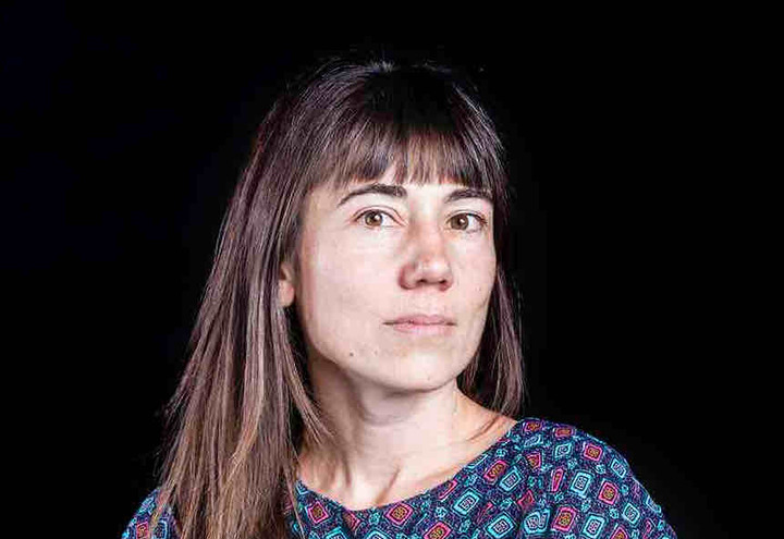 A History of Cinema as Art, the Place of Animation: A Comparative Approach, France/United States 1946–1976 - Cécile Noesser